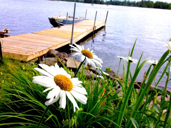 TakingCareOfMe.summer